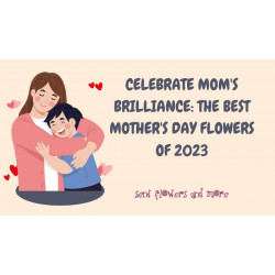 Celebrate Mom's Brilliance: The Best Mother's Day Flowers of 2023